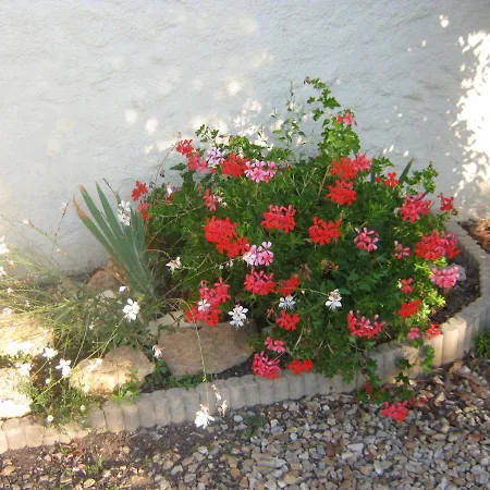 Le Papillon At Le Paradis Bed & Breakfast