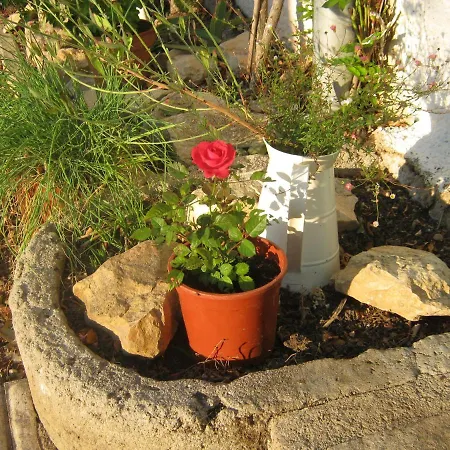 Bed & Breakfast Le Papillon At Le Paradis